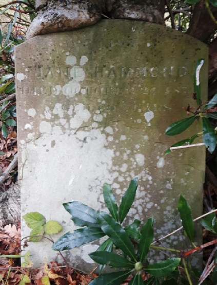 The memorial to Jane Hammond, who died at Brookwood Asylum in October 1872