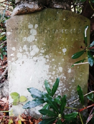 Memorial to Jane Hammond, formerly of Brookwood Asylum, in Brookwood Cemetery